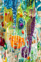 Camisa Fantástico Fundo do Mar