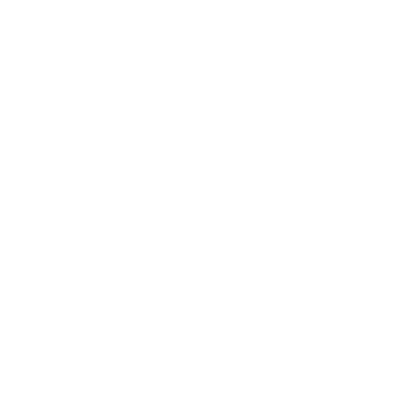 Bruno Silva Broderie
